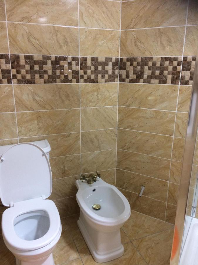 Vila Floarea De Colt Daire Borşa Dış mekan fotoğraf