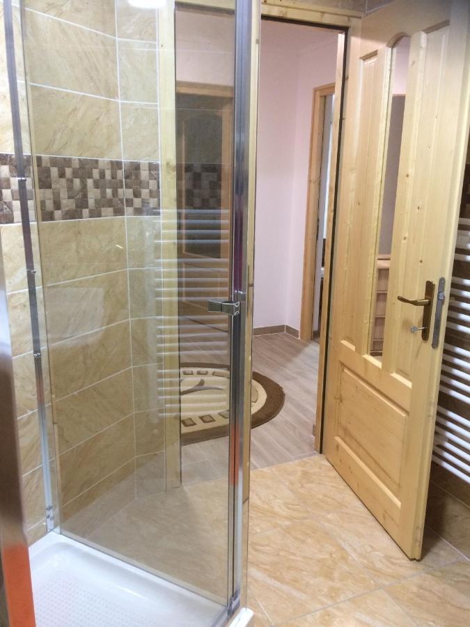 Vila Floarea De Colt Daire Borşa Dış mekan fotoğraf