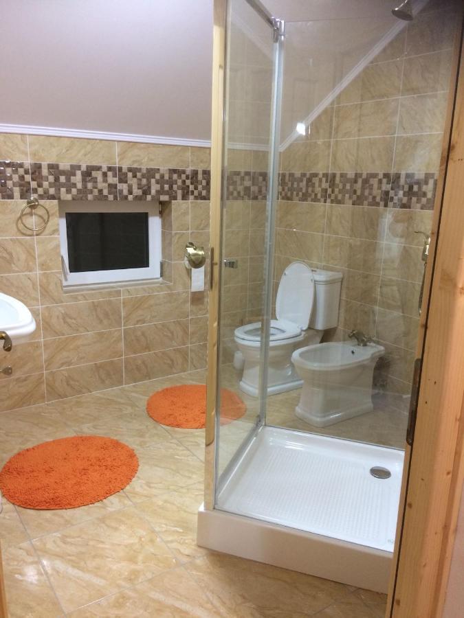Vila Floarea De Colt Daire Borşa Dış mekan fotoğraf