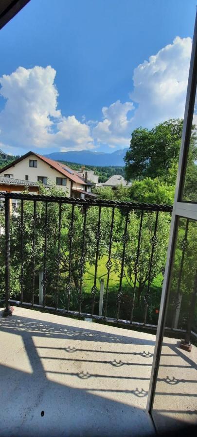 Vila Floarea De Colt Daire Borşa Dış mekan fotoğraf