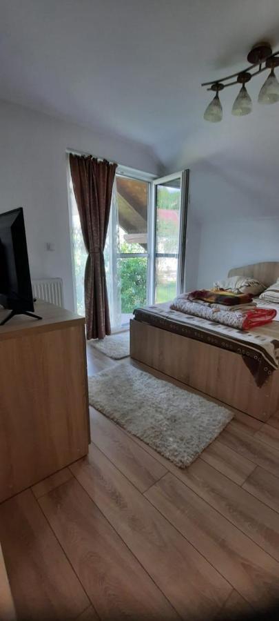 Vila Floarea De Colt Daire Borşa Dış mekan fotoğraf