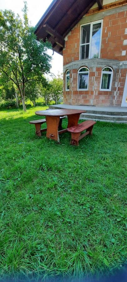 Vila Floarea De Colt Daire Borşa Dış mekan fotoğraf