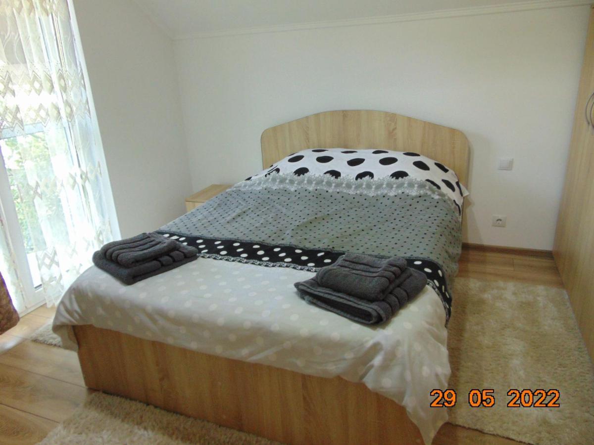 Vila Floarea De Colt Daire Borşa Dış mekan fotoğraf