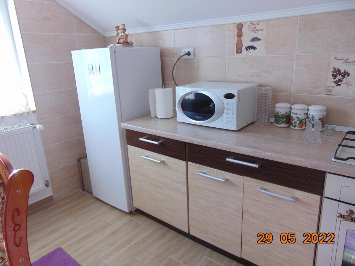 Vila Floarea De Colt Daire Borşa Dış mekan fotoğraf