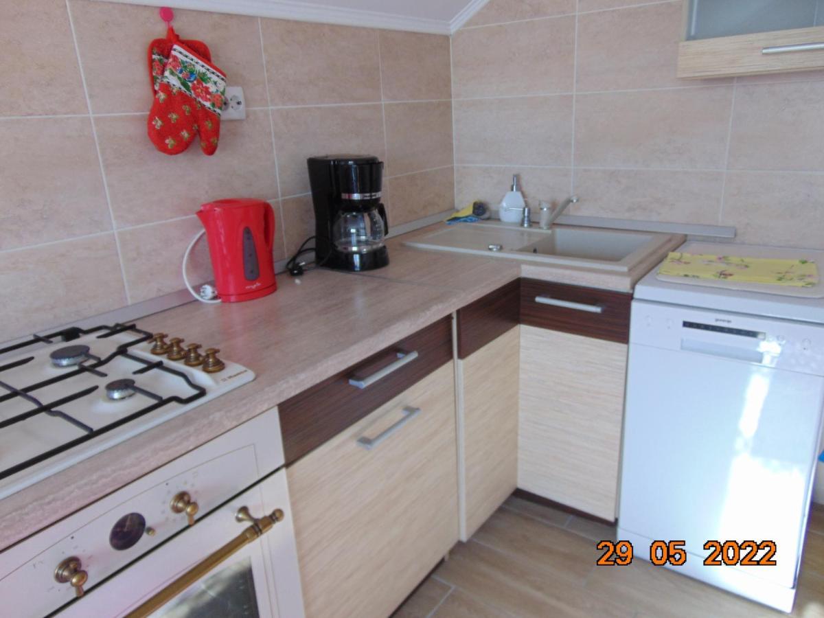 Vila Floarea De Colt Daire Borşa Dış mekan fotoğraf
